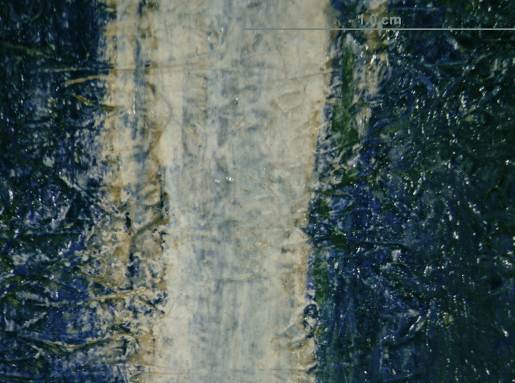 Gauguin | Online Scholarly Catalogue | Art Institute of Chicago | Photomicrograph showing white stripe