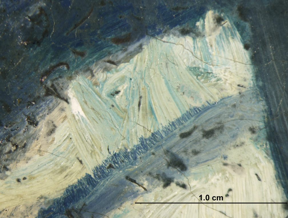 Gauguin | Online Scholarly Catalogue | Art Institute of Chicago | Photomicrograph showing earlier hair