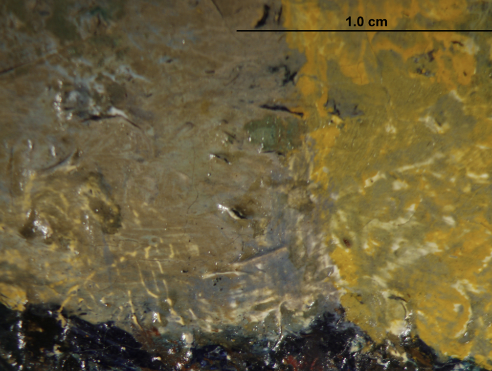 Gauguin | Online Scholarly Catalogue | Art Institute of Chicago | Photomicrograph showing white layer change
