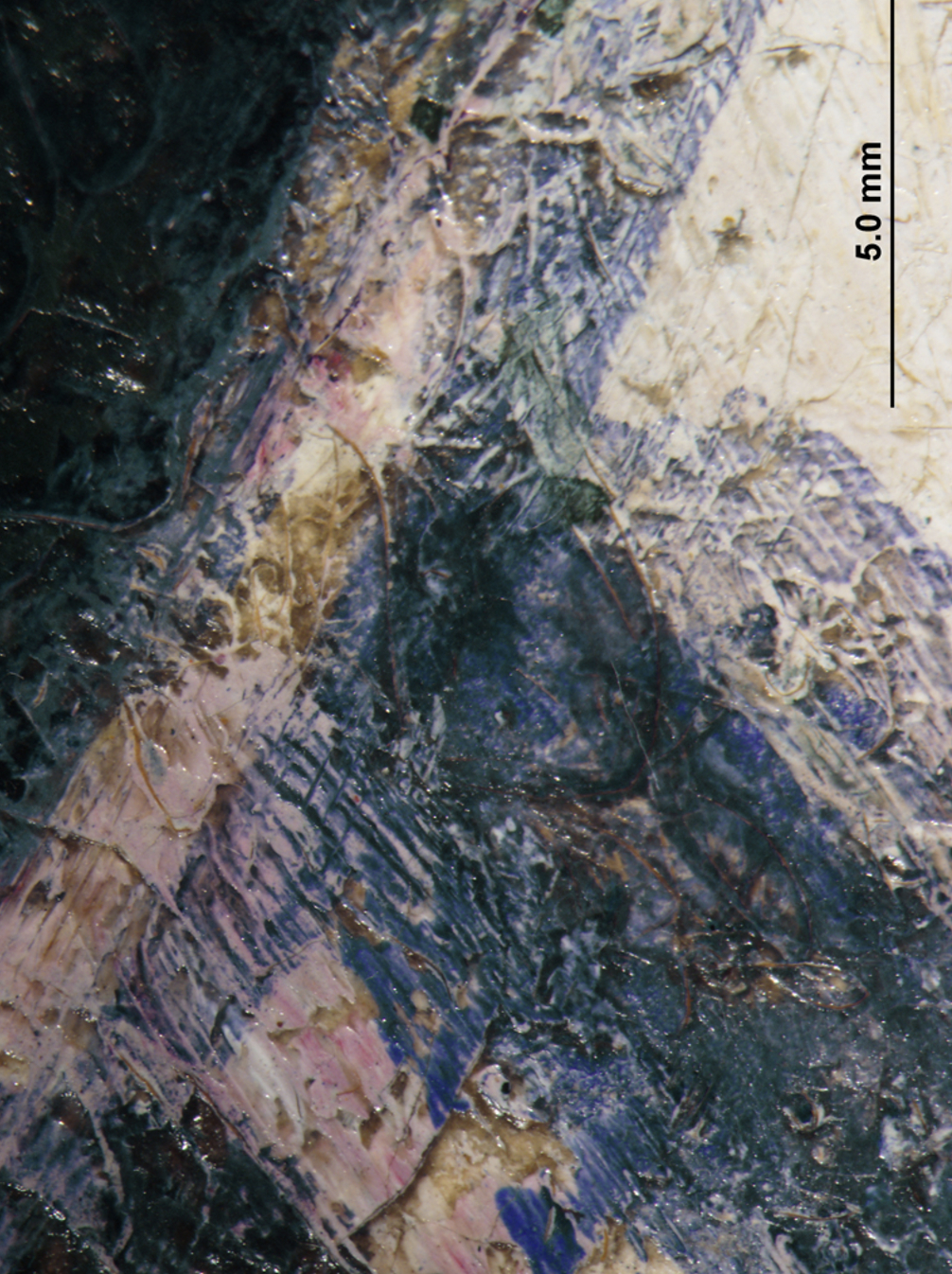 Gauguin | Online Scholarly Catalogue | Art Institute of Chicago | Photomicrograph showing dress