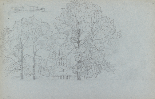 Camille Pissarro (French, 1830–1903). Study of Trees with a Slight Study of a Barge, late 1850s/early 1860s. Pen and dark ink over pencil on grey-blue paper (pencil only for the study of the barge in the top left corner); 31.1 × 48.3 cm (12 1/4 × 19 in.).