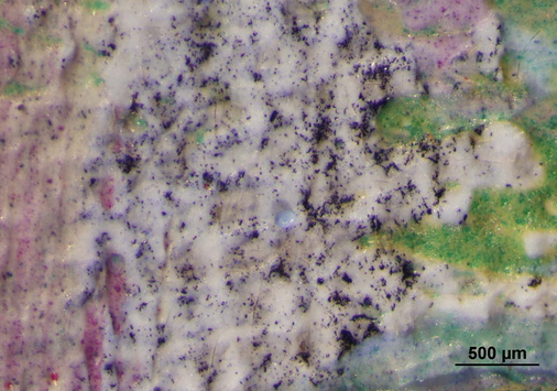 Photomicrograph of the ground line at left in Pissarro’s Haymaking at Éragny (1892) showing the mixed underdrawing media. The Art Institute of Chicago, 1961.791.