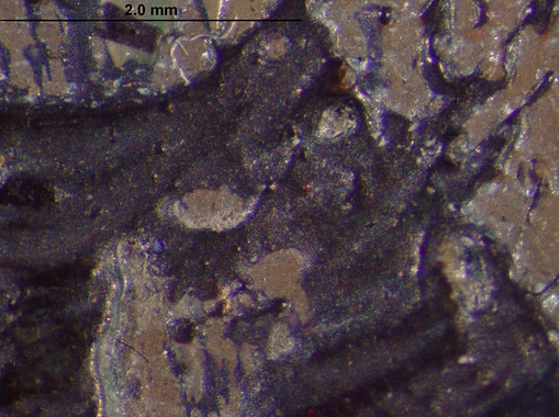 Photomicrograph from the signature in Pissarro’s Woman Mending (1895). The Art Institute of Chicago, 1959.636.