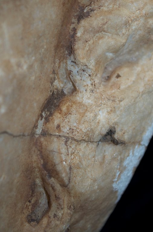 Detail showing the remains of burial soil in the beard of Head of Mars (2nd century A.D.). The Art Institute of Chicago