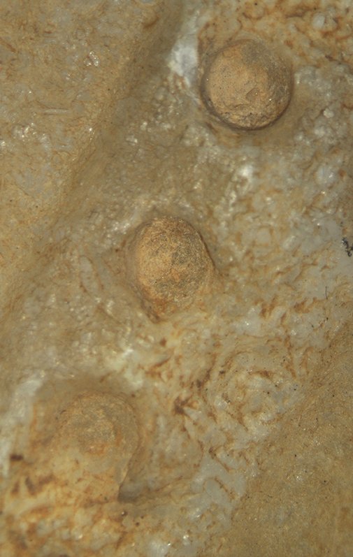 Detail showing the redeposited calcium visible in the recesses of the carved design on the helmet of Head of Mars (2nd century A.D.). The material has a reddish tinge resulting from the burial environment. The Art Institute of Chicago