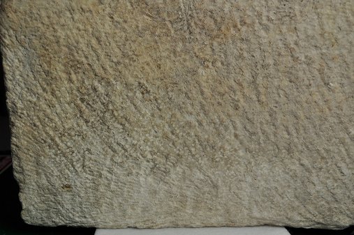 Detail showing the marks left by a claw chisel on the back of Cinerary Urn (late 1st/early 2nd century A.D.). The Art Institute of Chicago, 1926.621a–b.