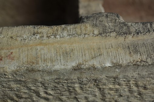 Detail showing the marks left by a scraper on the top surface of the inner lip of Cinerary Urn (late 1st/early 2nd century A.D.). The Art Institute of Chicago, 1926.621a–b.