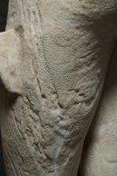 Roman Art | Online Scholarly Catalogue | Art Institute of Chicago | Detail of the Statue of the Aphrodite of Knidos, 2nd century A.D.