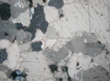 Roman Art | Online Scholarly Catalogue | Art Institute of Chicago | Photomicrograph
