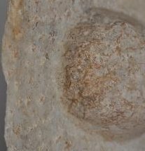 Roman Art | Online Scholarly Catalogue | Art Institute of Chicago | Detail of Portrait of a Man, mid-3rd century A.D.