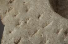 Roman Art | Online Scholarly Catalogue | Art Institute of Chicago | Detail of Portrait of a Man, mid-3rd century A.D.
