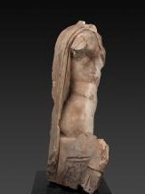 Roman Art | Online Scholarly Catalogue | Art Institute of Chicago | Right Profile View of a Fragment of a Portrait Statue of a Man