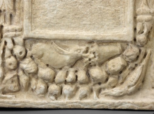 Detail of hare
