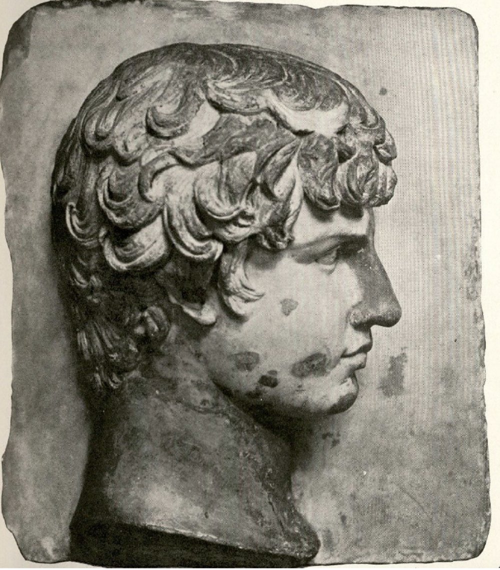 Image from Frank B. Tarbell, “A Marble Head of Antinous belonging to Mr. Charles L. Hutchinson of Chicago,” Art in America 2 (1913–14)
