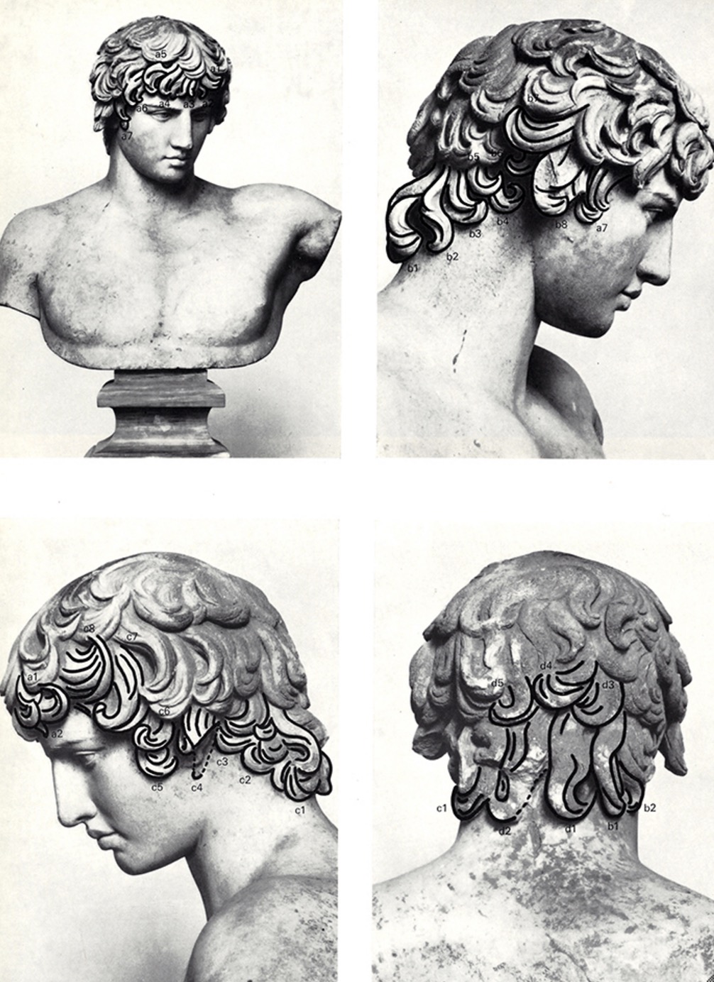 Diagram of Antinous’s curls. 