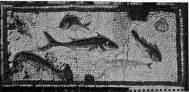 Online Scholarly Catalogue | Art Institute of Chicago | Roman Art