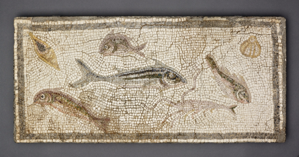 Roman Art | Online Scholarly Catalogue | Art Institute of Chicago | Panel from Mosaic Floor Depicting Marine Life