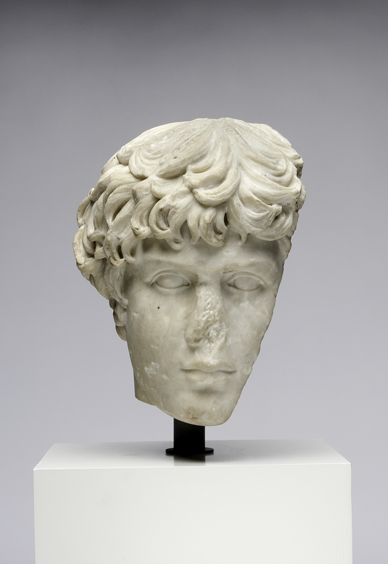 Roman Art | Fragment of a Portrait Head of Antinous, mid-2nd century A.D. | Online Scholarly Catalogue | Art Institute of Chicago